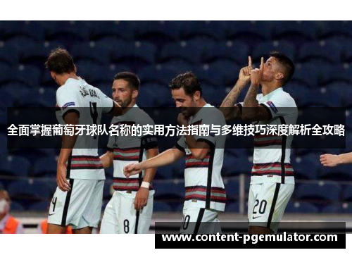 全面掌握葡萄牙球队名称的实用方法指南与多维技巧深度解析全攻略