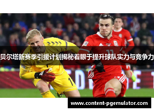 贝尔塔新赛季引援计划揭秘着眼于提升球队实力与竞争力